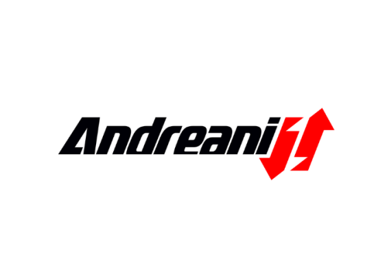 ANDREANI GROUP INTERNATIONAL