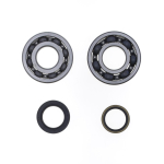 Crankshaft repair kit - P400510444061