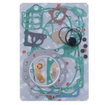 Engine gasket set complete - P400270850305