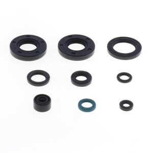 Kit de joints détanchéité pour moteur - P400250400082