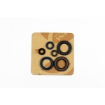 Motor sealing ring kit - P400270400070