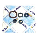 Motor-Dichtring-Kit - P400220400255