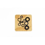 Motor sealing ring kit - P400220400125