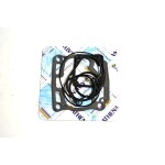 Top-end gasket set - P400250600015