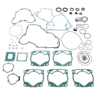 P400270900099 Engine gasket set incl. engine sealing...