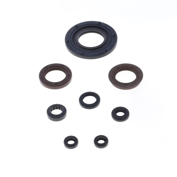 P400510400241 Motor sealing ring kit - P400510400241 Image 1