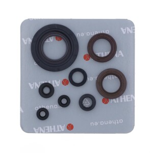 Motor sealing ring kit - P400510400255