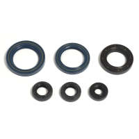 P400270400013 Kit anello di tenuta motore - P400270400013...