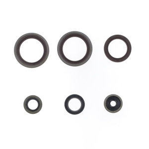 Motor-Dichtring-Kit - P400060400013