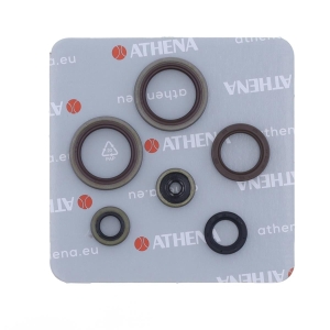 Motor-Dichtring-Kit - P400060400013