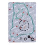 Wasserpumpen REP - KIT P400060475002