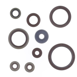 Motor-Dichtring-Kit - P400060400016