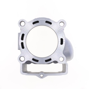 Cylinder Kit - P400270100028