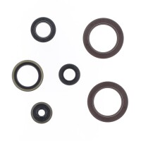 Kit junta motor - P400270400015