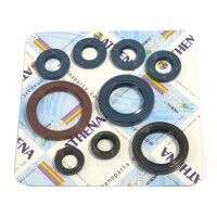 Motor-Dichtring-Kit - P400270400063