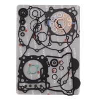 P400485900212 Engine gasket set - P400485900212 Incl oil...