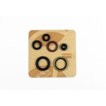 Motor sealing ring kit - P400270400077