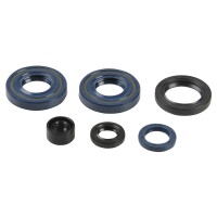 Kit junta motor - P400250400061