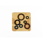 Motor sealing ring kit - P400270400078