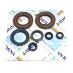 Motor sealing ring kit - P400270400080