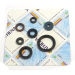 Motor sealing ring kit - P400485400188