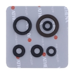 Motor sealing ring kit - P400270400093