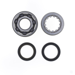 Crankshaft repair kit - P400210444317