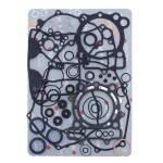 Engine gasket set incl. sealing rings - P400250900071