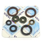 Motor sealing ring kit - P400270400062