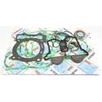 Engine gasket set complete - P400485850053