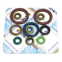 Kit junta motor - P400270400036