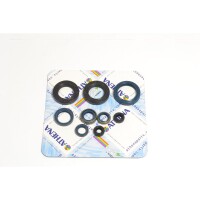 Kit junta motor - P400220400250